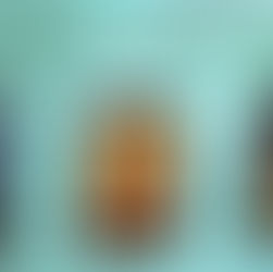 Book Series Spotlight | The Fire Chronicles by @cjbahr #paranormalromance #pnr #bookseries #bookish