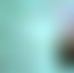 VIDEO | Lord Shallow by @eileen_put #booktrailer #regency #historicalromance #video