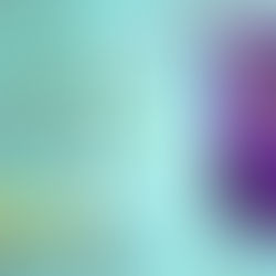 5 stars for Tell Me Lies by @Gail_Chianese #paranormalmystery #paranormal #bookreview