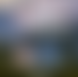 When Murder Comes Home by Shana Frost is a BHW pick #mystery #murdermystery #giveaway