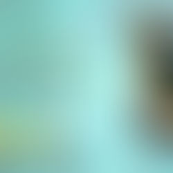 5+ stars for A Measure of Madness by @KimMcMahill #suspense #thriller #bookreview