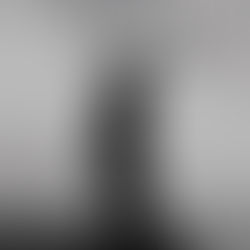 Book Review | Vengeance in the Wind by Judy Bruce #mystery #suspense #bookreview