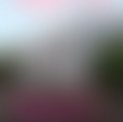 Murder at the Willcotts Hotel by Sasscer Hill is a Mystery & Suspense Event pick #mystery #giveaway