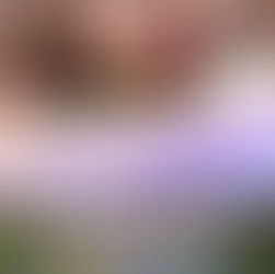 Book Recommendation | At Long Last Love by @LiviaQuinn #romance #bookish #womensfiction