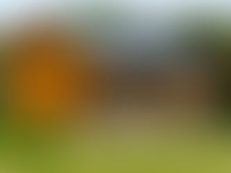 Taxe "abri de jardin"