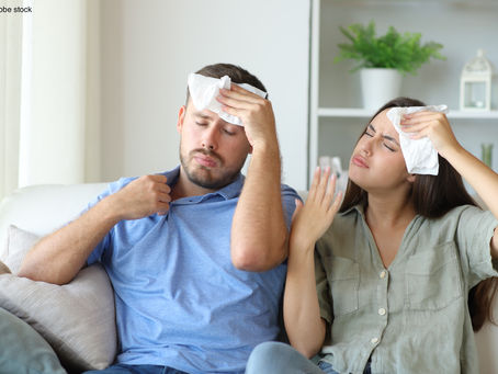 Bouilloire thermique