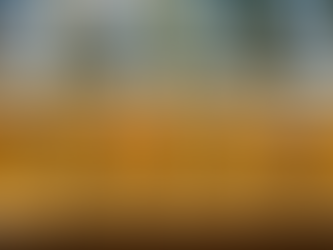 Las 6 cervezas oficiales del Oktoberfest 🍺