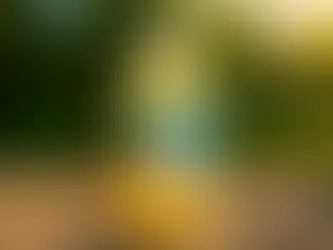 Kombucha Komvida de Piña colada servida en the orange club