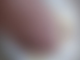 Lunch with Mutt pasta and pork