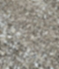 landscaping shells
