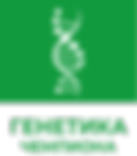 Безымянный-4.png