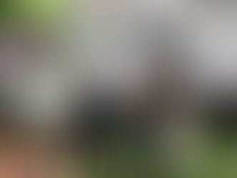 Collaborateurs participant à un événement sportif d’entreprise organisé par Shizen Sport-Truck, combinant ateliers collectifs, basketball et moments de cohésion pour renforcer l’esprit d’équipe dans un cadre convivial.