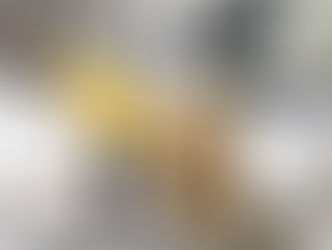 "LE SPORT EST DANS LE PRÉ"