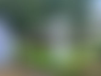 🎶 Sur une même note, le sport et la musique s'harmonisent pour une symphonie d'émotions sportives