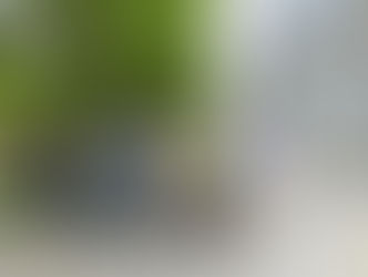 Le Shizen-Sport-Truck® révolutionne la mobilité sportive avec le E-Shizen Sport BIKE 🚴