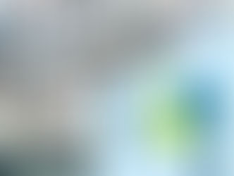 Le Shizen-Sport-Truck a été mobilisé pour la Caisse Nationale d'Allocations Familiales (CNAF)