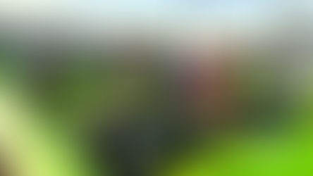 Participants engagés dans une activité de team building sportif favorisant la coopération, la coordination et la cohésion d’équipe