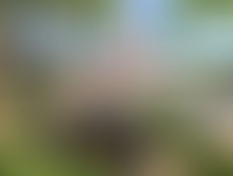 Dé-confinement: le retour du Shizen-Sport-Truck® a été une réussite