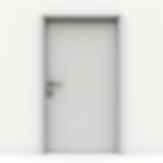Steel Security Door