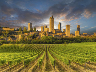 Toscana, ainda não conhece?
