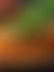 Gastronomía de Hidalgo: Platos Típicos y Recetas