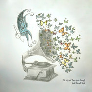 The Life and Times of the Butterfly piano classical music
