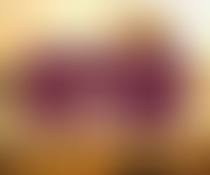 Forty Days of Proclamation: New