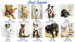 Local Legends Collage