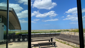 Stiffkey Artist's Guide to Cley-Next-the-Sea: Wildlife, Light, and Local Flavours