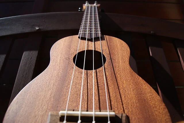 brown ukulele fretboard