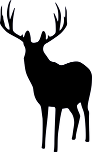 Odocoileus_hemionus_XGiroux-Bougard.png