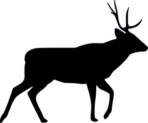 Odocoileus_hemionus_outline_XGiroux-Bougard.png