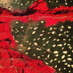 13932916_1228335167178321_4934768524705990779_n