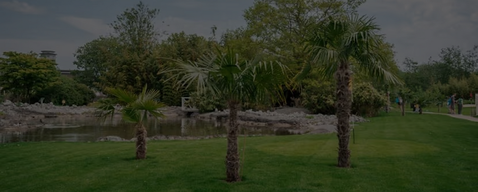 need help banner.png