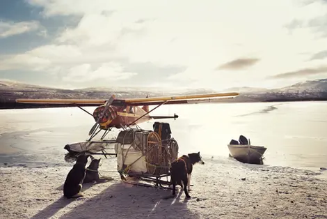Small plane on an icy surface with sled dogs nearby in a cold arctic setting. Captured by Thomas Hoeffgen.