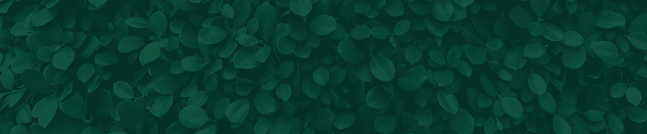 bg-2.png