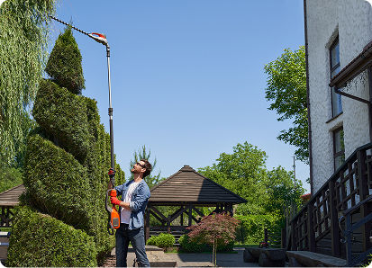 Property Maintenance
