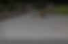 Home Banner.png