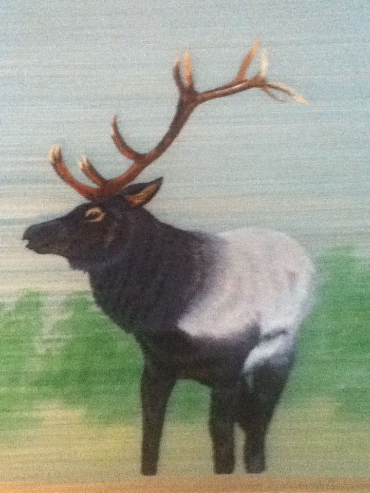 Moose Wood Woven Painting