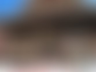 वृंदावन बांके बिहारी मंदिर में टूटी वर्षों पुरानी परंपरा: हलवाई को वेतन न मिलने से नहीं बना ठाकुर जी का भोग