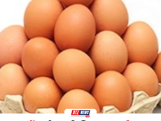 अंडों में नाइट्रोफ्यूरान मिलने के बाद देशभर में अलर्ट, जिले में बिना सैंपल जांच के ही अंडों को बताया सुरक्षित