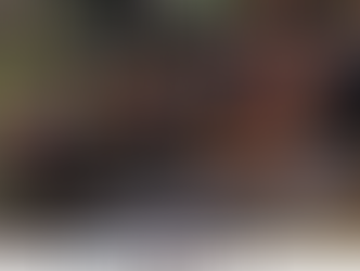 इंडोनेशिया में बड़ा सड़क हादसा: जावा द्वीप में पैसेंजर बस दुर्घटनाग्रस्त, कम से कम 15 लोगों की दर्दनाक मौत