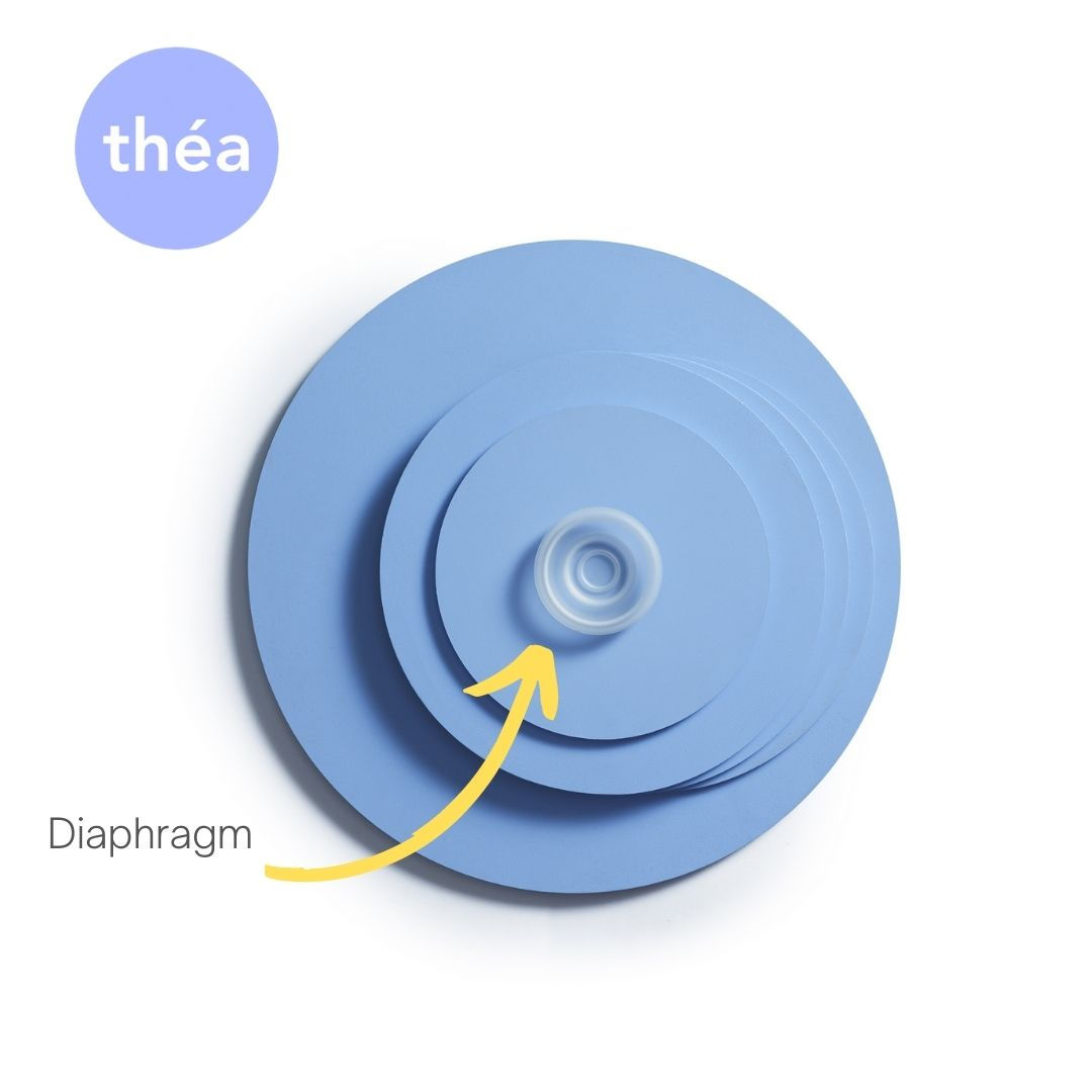 Diaphragm