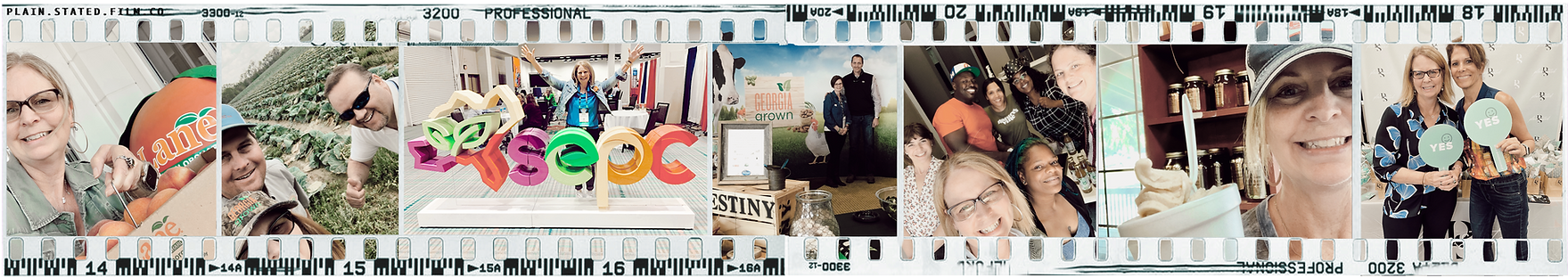plain.stated.film. 3.png