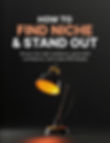 Book cover with lamp and bold title: How to Find Niche & Stand Out