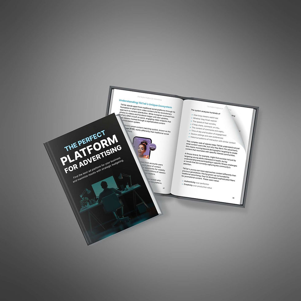 Thumbnail: The Perfect Platform for Advertising: Stop Wasting Ads