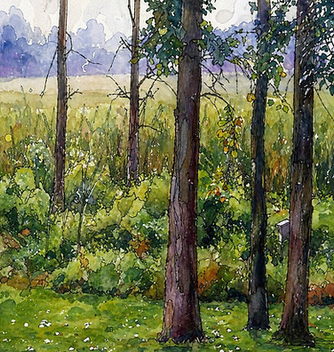 contemporary drawing of backyard using Chat GPT d8a0dcb0-3ad0-4c0e-81c6-546601d30117..jpg