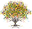 Logo Only Tree_balanced_edited.png