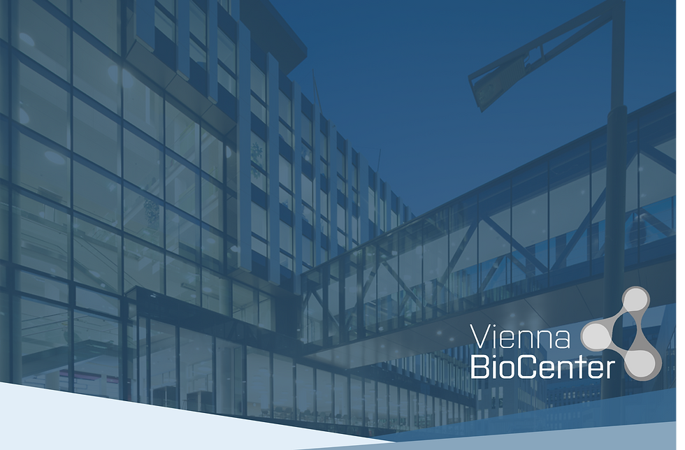 First European Single Cell Proteomics Conference