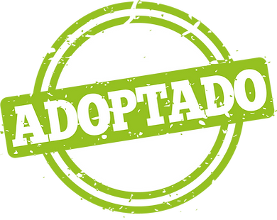 adoptado.png